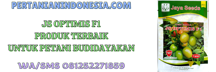 js optimis f1,f1,hibrida,toko online,pertanian indonesia